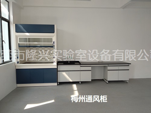 梅州通風(fēng)柜